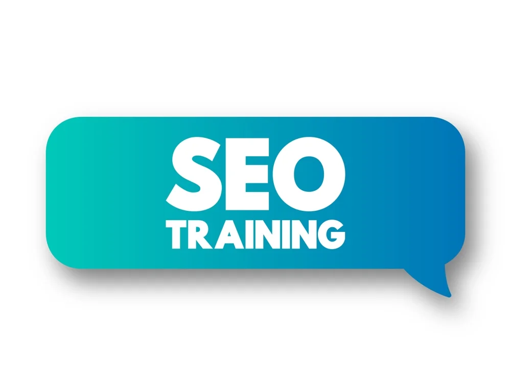 Choose the Right SEO Training Institute in India for Career Growth