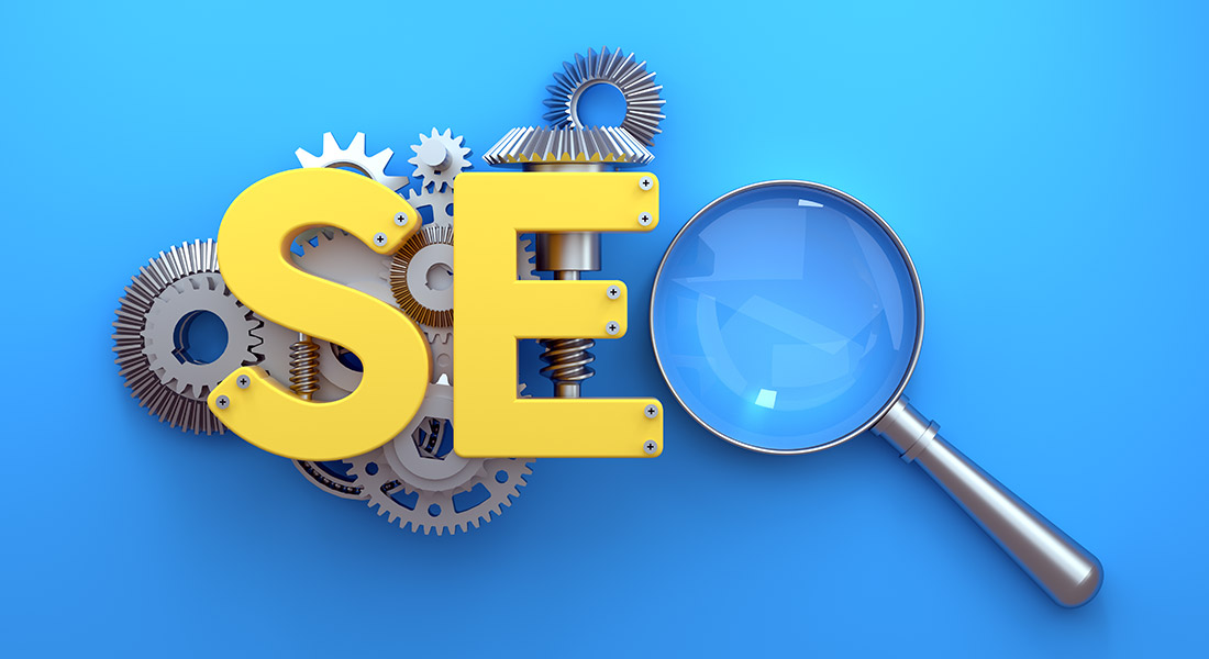 Professional SEO course Rajasthan